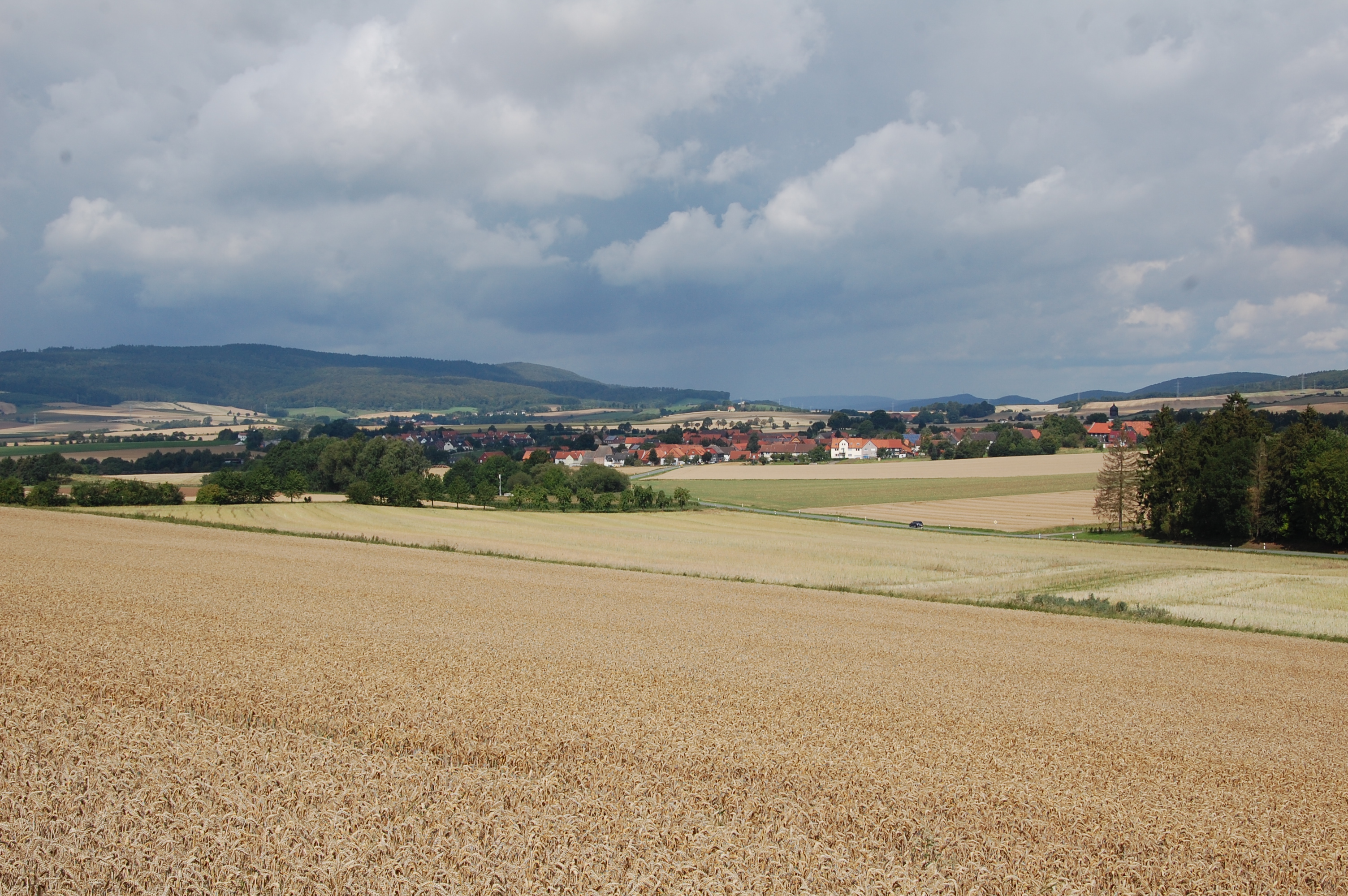DSC_5766