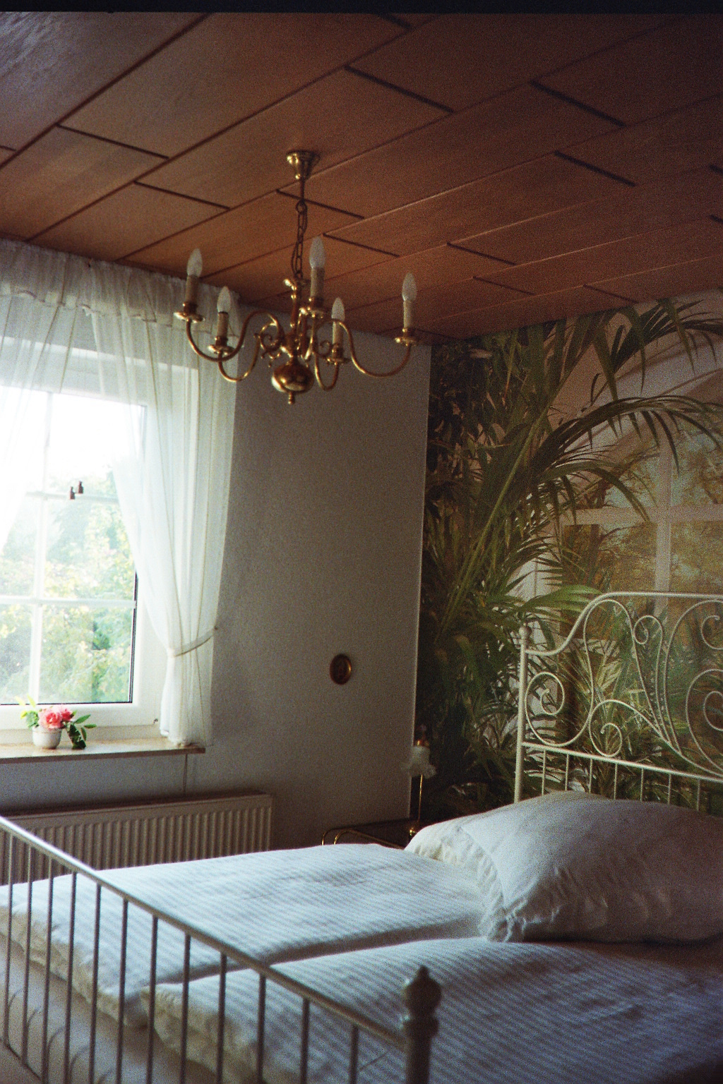 IMAGE0026_24