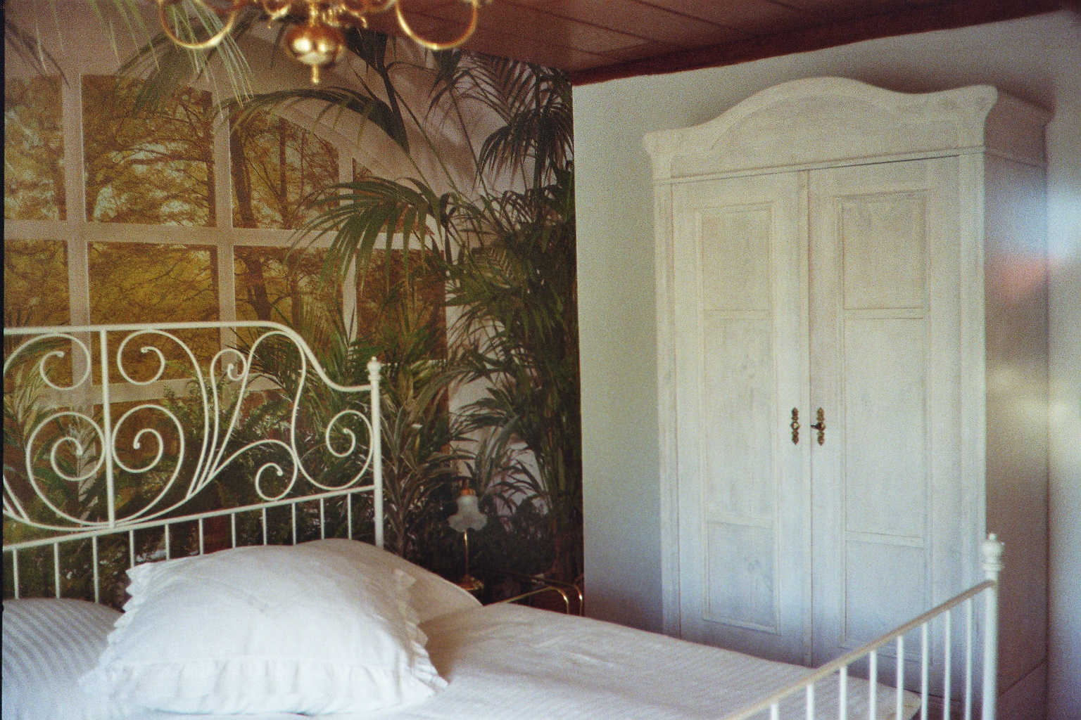 IMAGE0028_26