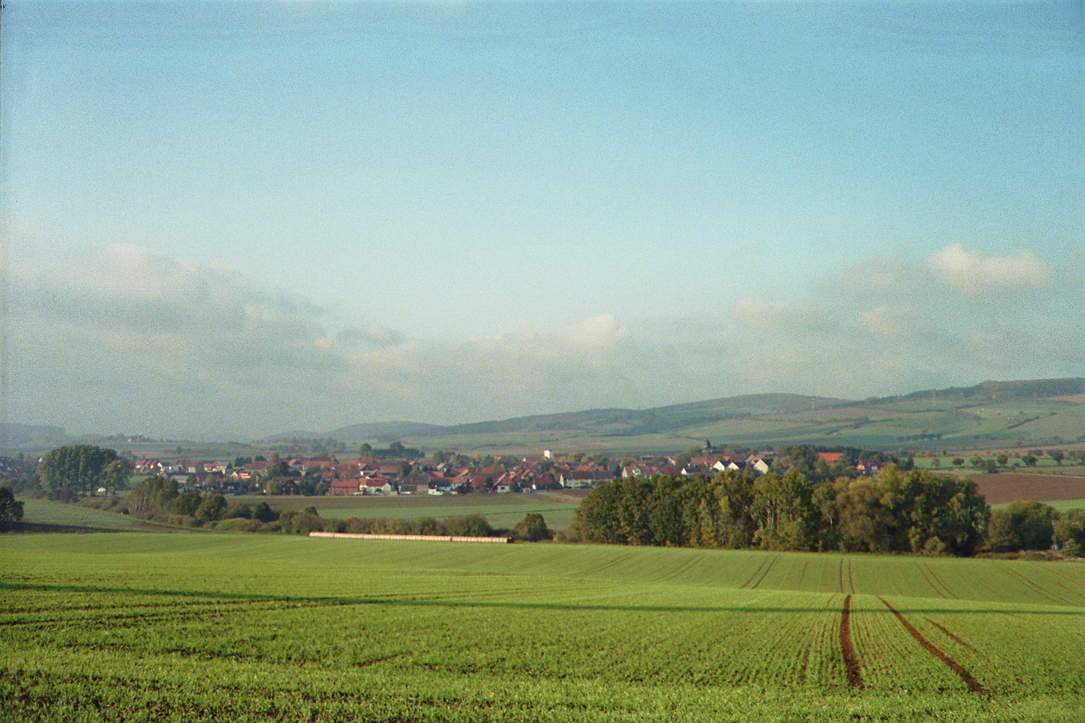 IMAGE0031_29